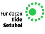 Logotipo de parceiro (placeholder)